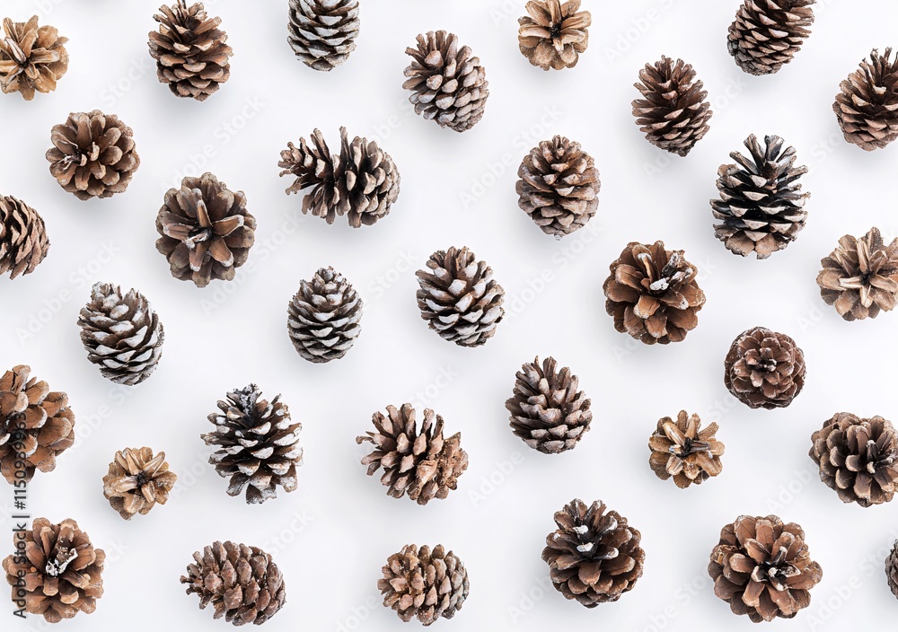 pine cones on white pine cones on white