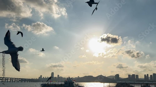 Seagulls flying above port at sunset. Scenic port with ships, city skyline, and calm waters. Perfect for port-themed maritime visuals, urban landscapes, and travel projects. photo