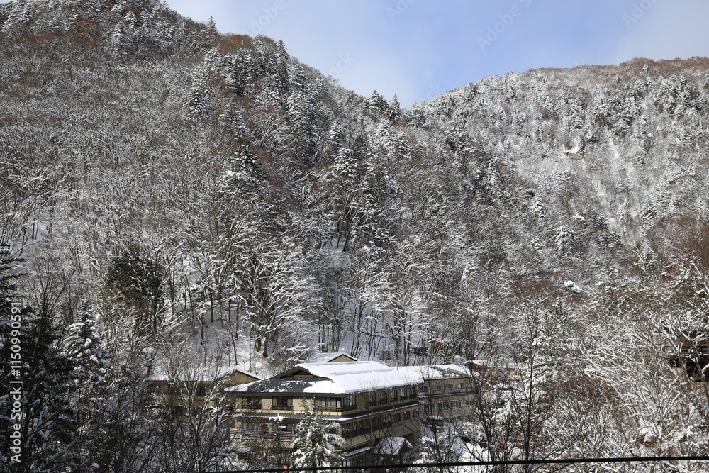 Fototapeta premium Snow-Covered Forested Mountains in Winter Sunshine, Nagano, Japan