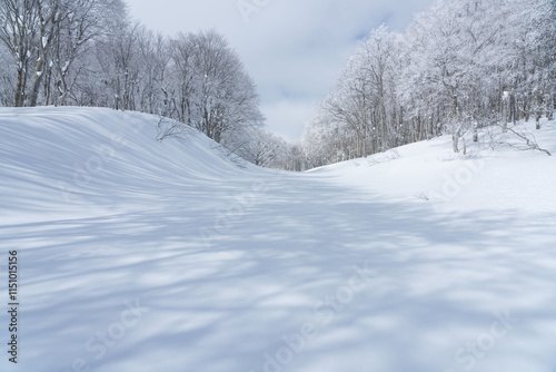 Wallpaper Mural 雪原の風景 Torontodigital.ca