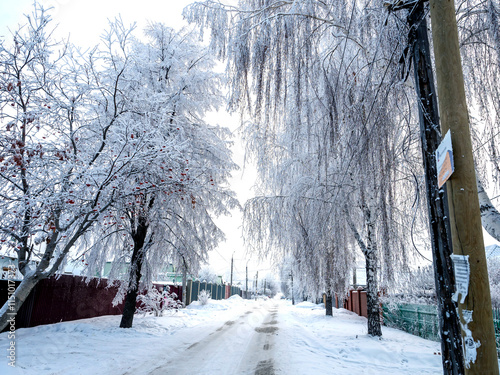 winter road among trees covered with frost and snow in the countryside photo