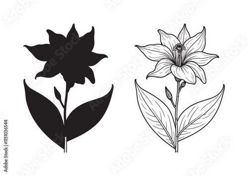 Black Turmeric flower line art  vector on white background