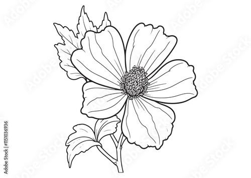 Balsam flower