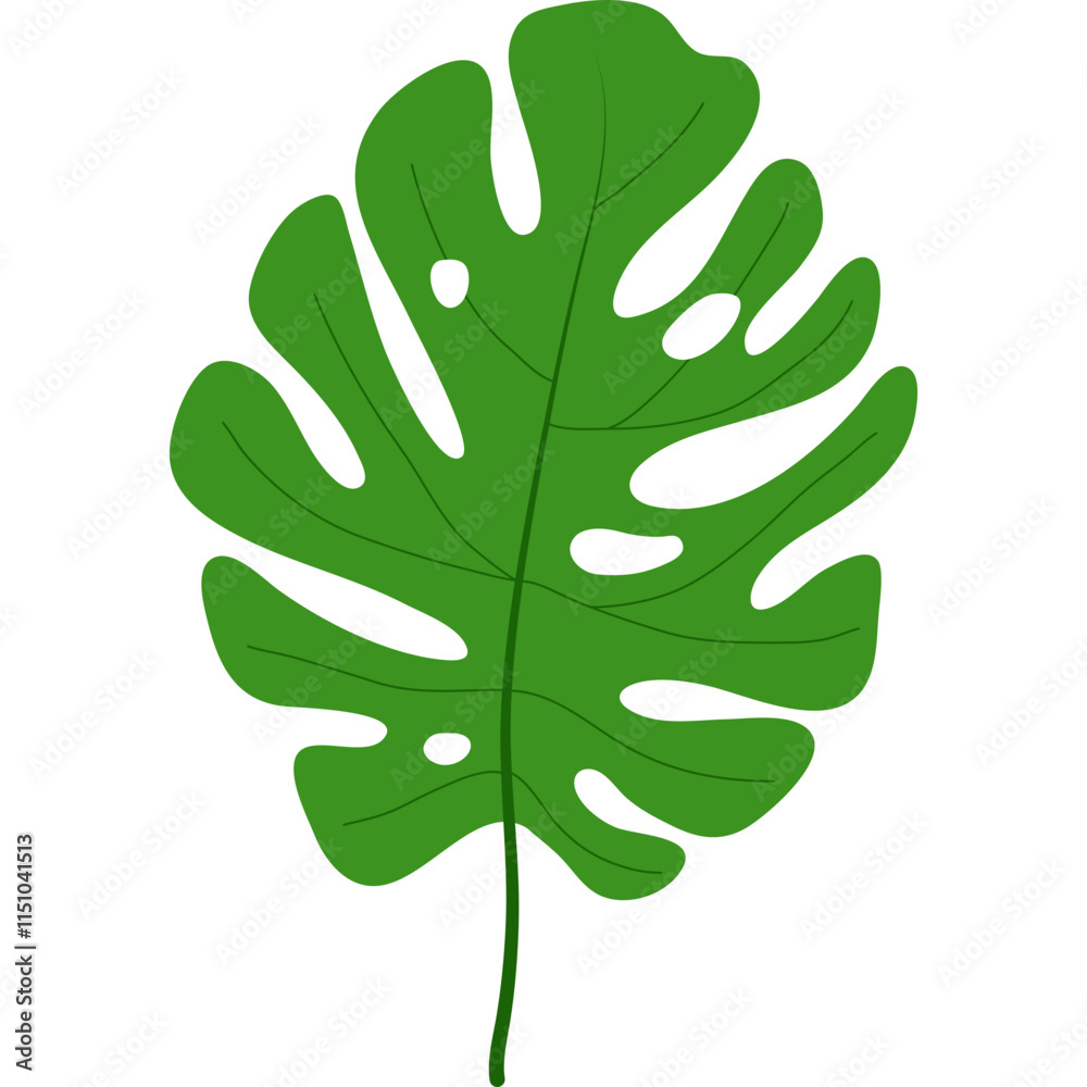 Tropical Leaves
Tropical Leaves