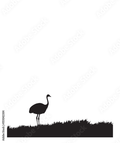 Ostrich Silhouette Vector illustration