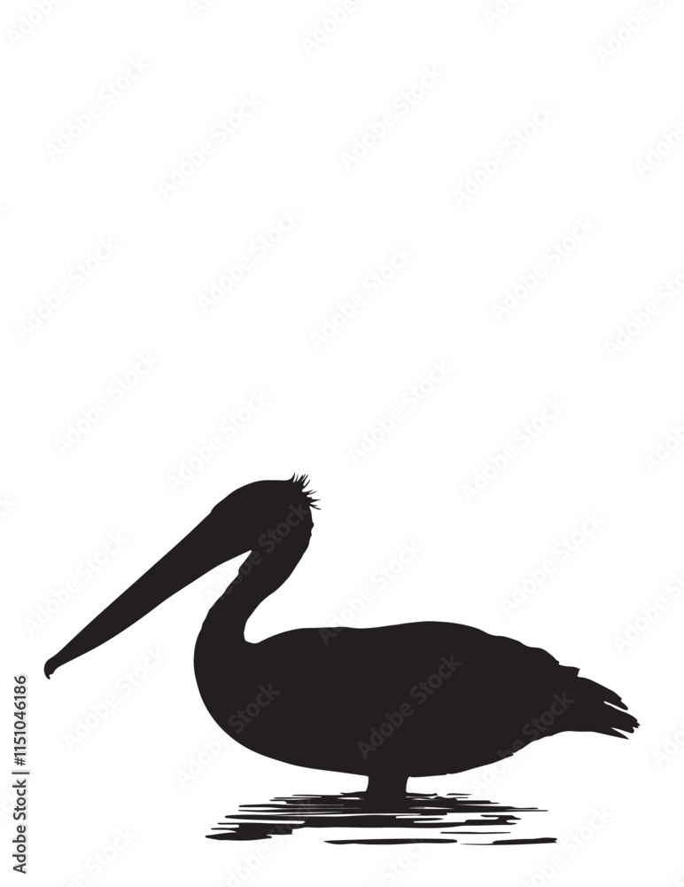Fototapeta premium Pelican Silhouette Vector illustration