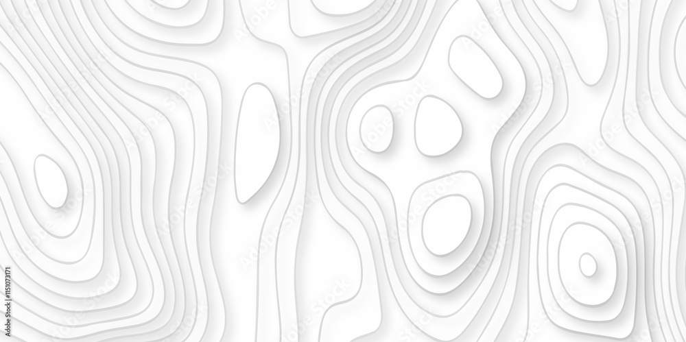 Abstract pattern with lines seamless pattern and topography map and counter map. abstract sea map area space geometric line technology topo landscape grid map texture. Abstract pattern with lines seamless pattern and topography map and counter map. abstract sea map area space geometric line technology topo landscape grid map texture.