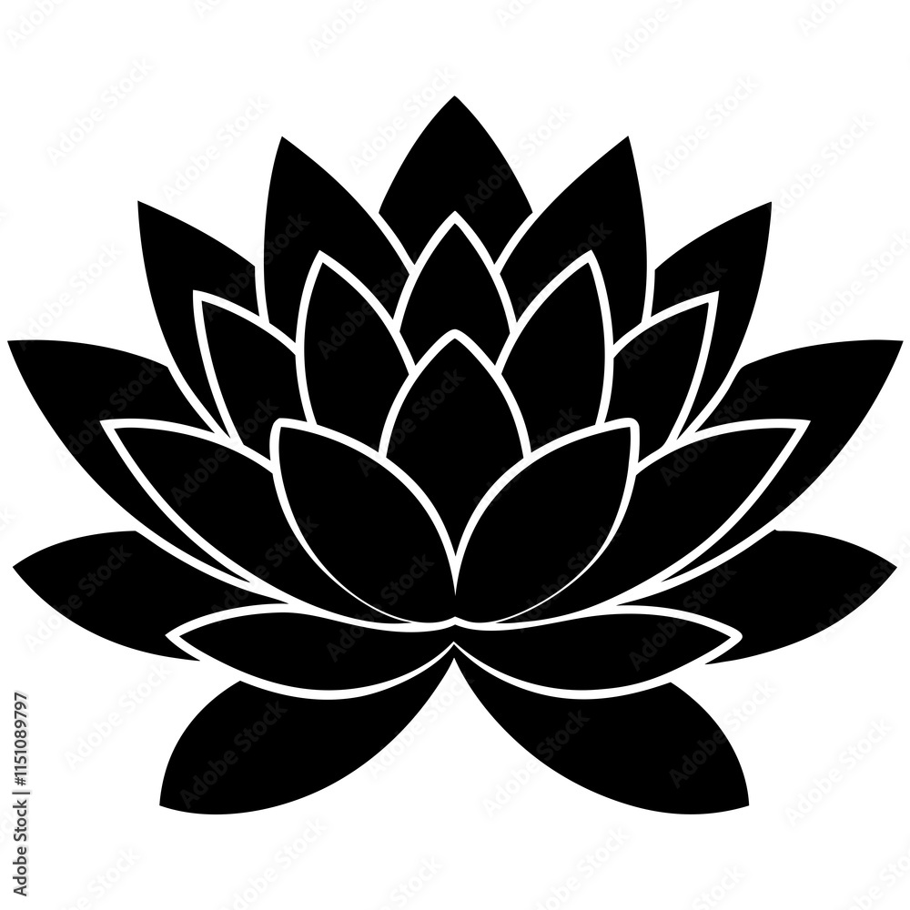 Water Lily vector illustration Water Lily vector illustration