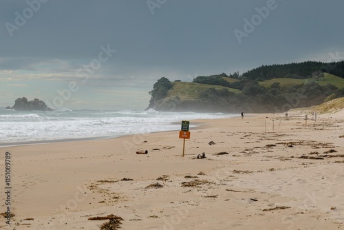 Cloudy day at a beach with safety warnings. A lone person walks along the shore. OPOUTERE, COROMANDEL PENINSULA, NEW ZEALAND photo