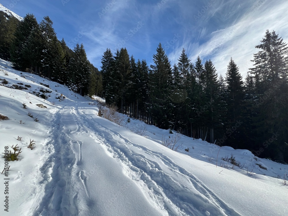 Fototapeta premium Wonderful winter hiking trails and traces in the fresh alpine snow cover of the Swiss Alps and over the tourist resort of Arosa - Canton of Grisons, Switzerland (Kanton Graubünden, Schweiz)
