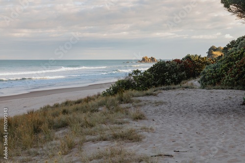 Coastal scene: Gentle waves crash on a sandy beach, with a rocky outcrop in the distance. Tranquil morning light. OPOUTERE, COROMANDEL PENINSULA, NEW ZEALAND