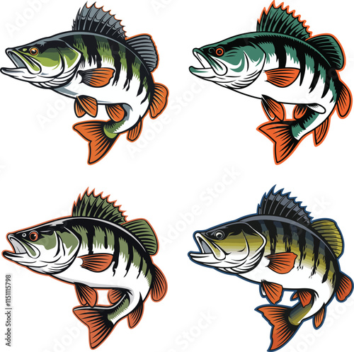 fierce zander t-shirt logo vector design.