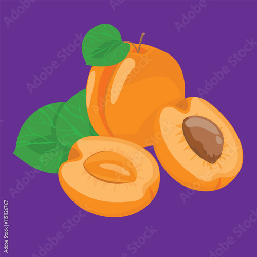 full and half apricot with no seed blossom flat design fresh fruit