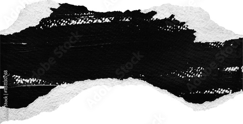 Black & White Painted Ripped Paper Piece