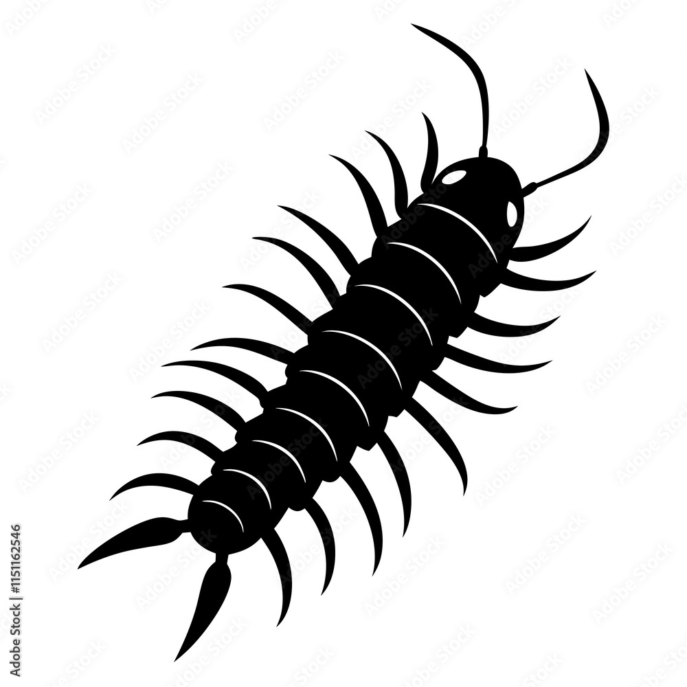 Centipede Silhouette vector illustration Centipede Silhouette vector illustration