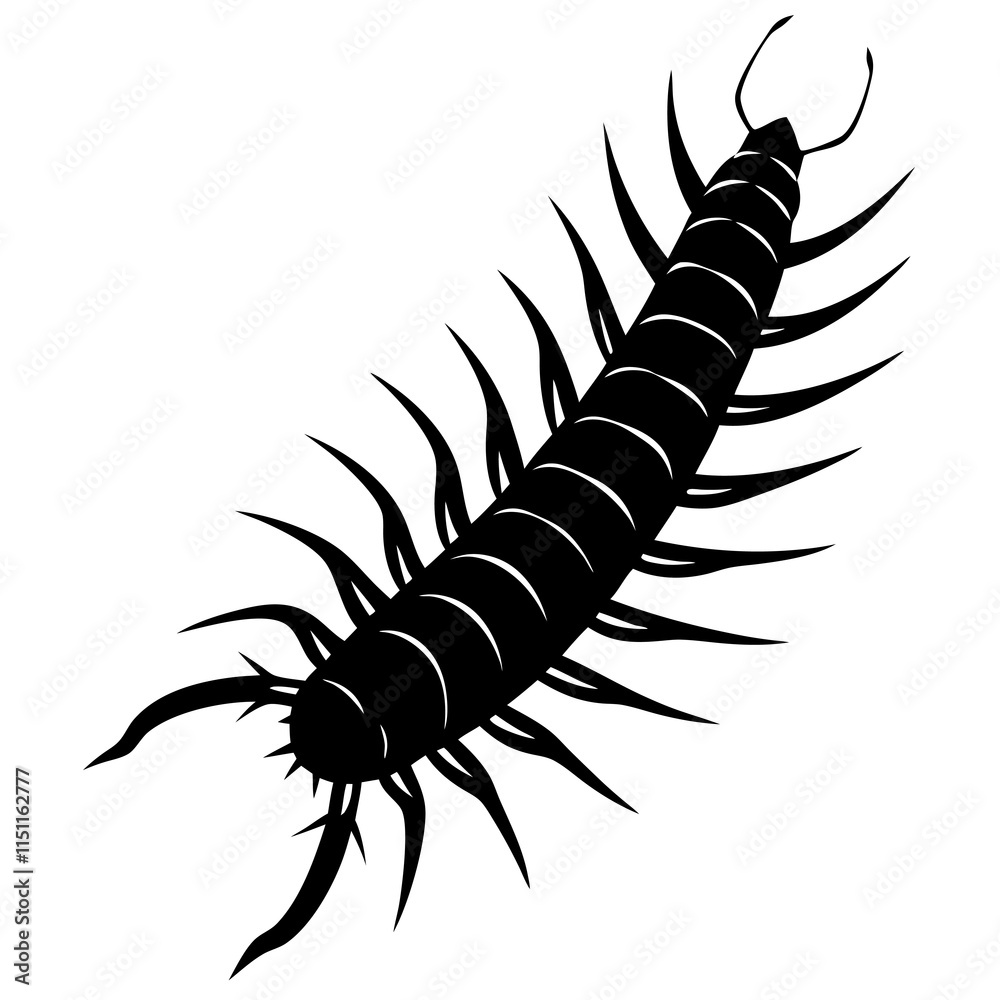 Centipede Silhouette vector illustration Centipede Silhouette vector illustration