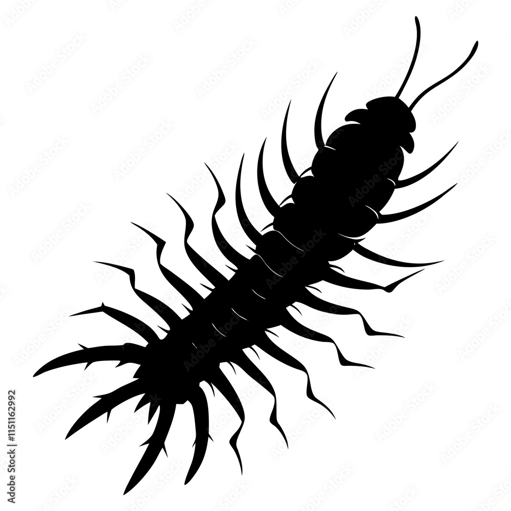 Centipede Silhouette vector illustration Centipede Silhouette vector illustration