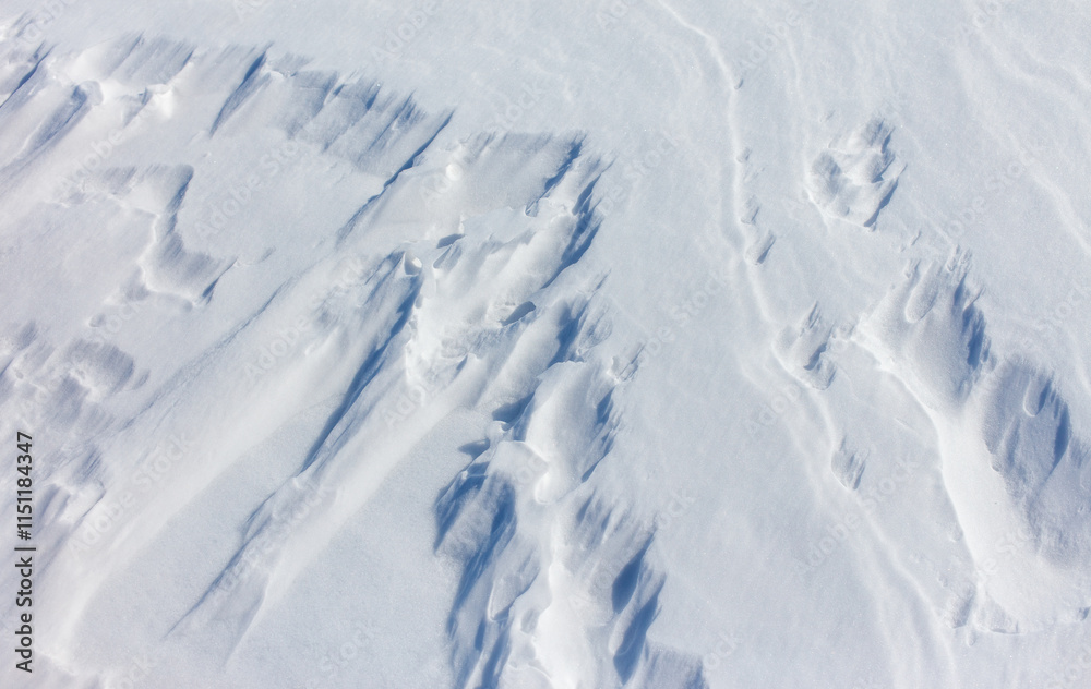 The snow is white and the ground is covered in it The snow is white and the ground is covered in it