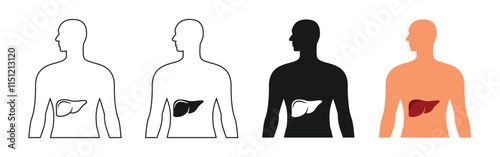 set of body organ designs, position of the human liver, simple outline and colored style, editable vector eps 10.