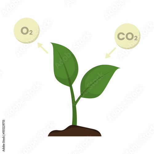 CO2 Emissions Illustration