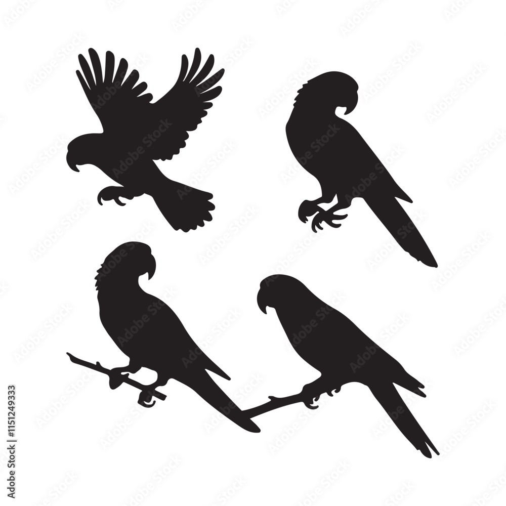 Obraz premium Parrot silhouettes of birds