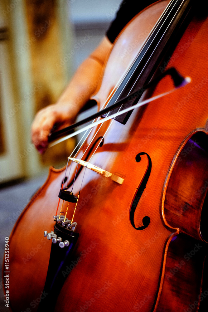 Cello Instrument