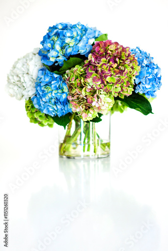 White Background Leaves and Flowers 5