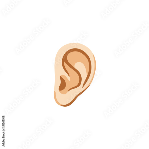 Ear
