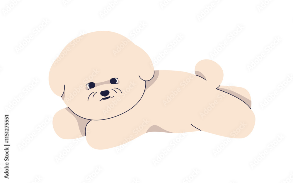 Obraz premium Bichon Frise puppy lying. Cute fluffy canine animal breed with in funny pose. Lovely companion pet, little baby dog. Adorable miniature pup. Flat vector illustration isolated on white background