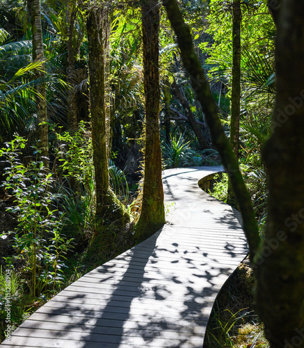 Obraz na płótnie Boardwalk in the forest. Kitekite Falls Track. Waitakere Ranges Regional Park. Auckland. w salonie