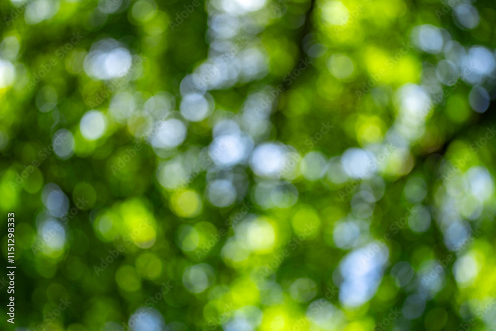 Fototapeta premium Blur natural green leaves bokeh background. Green bokeh on nature abstract blur background. Blur greenery. Blurred green leaf nature background. Leaves on blurred green background for banner, poster.