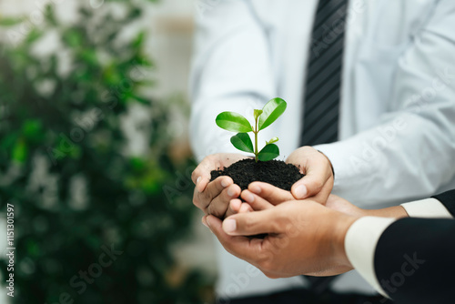 World environment day. Business hands holding green plant together for environment sustainable development goal. Green business company and esg, csr concept. Corporate and community cooperation