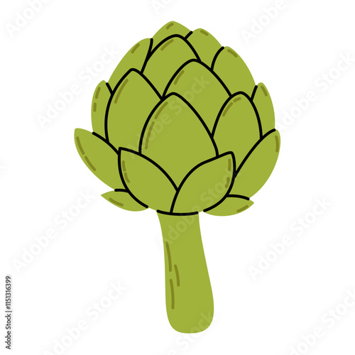 Hand drawn artichoke vegetable. Green artichoke bud in simple doodle style