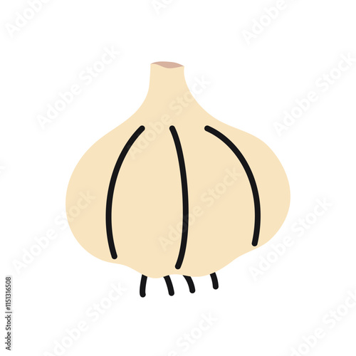 Hand drawn garlic bulb, ideal for healthy food projects and culinary websites