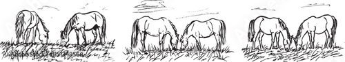 Horses grazing in a meadow eating grass, Freehand sketch, Hand drawn illustration