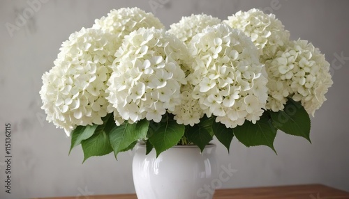 Large white mophead hydrangea flowers in a vase, white flowers, french hydrangea, flower bouquet