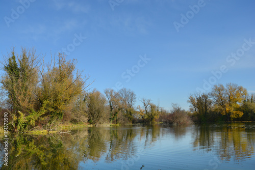 A serene autumn scene in the protected landscape and ornithological reserve Savica in Zagreb, with trees in autumn colors reflecting in the calm water under a clear blue sky