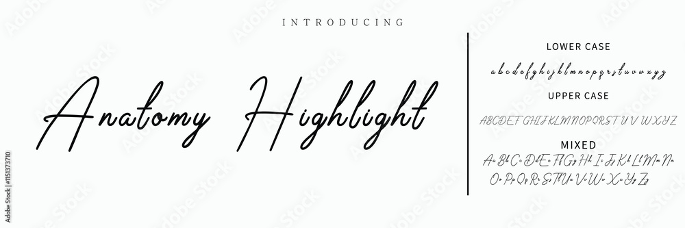 Hand drawn vector alphabet. Modern monoline signature script font. Elegant Signature Font. Best Alphabet Beautiful Calligraphy Signature Font lettering Hand drawn vector alphabet. Modern monoline signature script font. Elegant Signature Font. Best Alphabet Beautiful Calligraphy Signature Font lettering