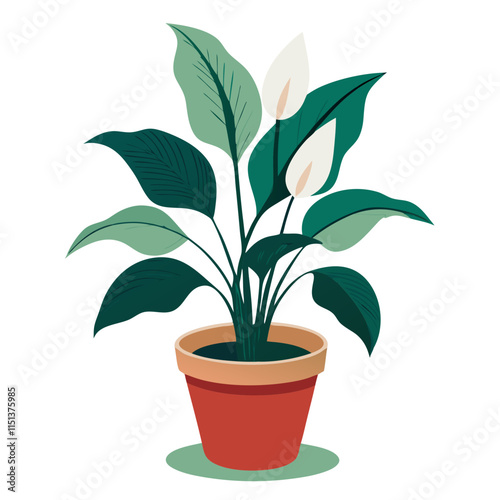 Peace lily plant in terracotta pot against a plain white background showcasing lush green leaves and elegant white blooms