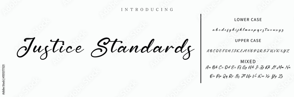 Hand drawn vector alphabet. Modern monoline signature script font. Elegant Signature Font. Best Alphabet Beautiful Calligraphy Signature Font lettering Hand drawn vector alphabet. Modern monoline signature script font. Elegant Signature Font. Best Alphabet Beautiful Calligraphy Signature Font lettering