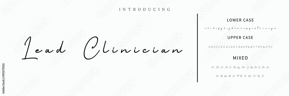 Hand drawn vector alphabet. Modern monoline signature script font. Elegant Signature Font. Best Alphabet Beautiful Calligraphy Signature Font lettering Hand drawn vector alphabet. Modern monoline signature script font. Elegant Signature Font. Best Alphabet Beautiful Calligraphy Signature Font lettering