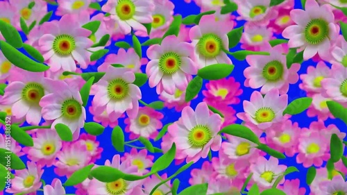 blue and yellow flowers