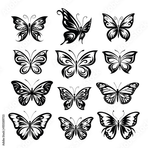 collection of butterflies