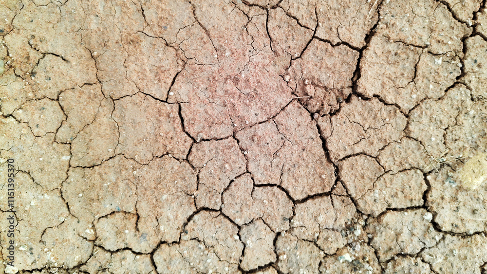 The ground has cracks in the top view for the background The ground has cracks in the top view for the background