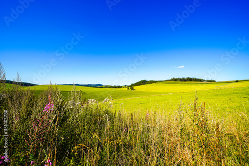 View of the green landscape near Oberhenneborn in the Sauerland. Hiking trails in nature.
 photo