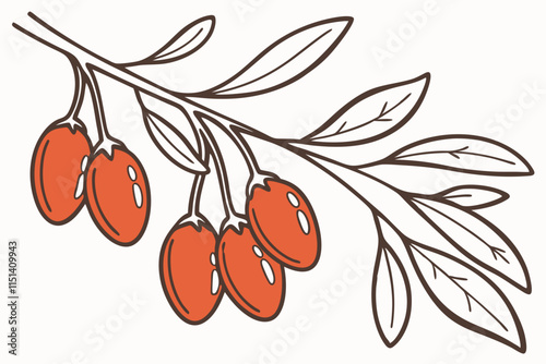 Goji Berry, Elongated berry hanging from a delicate branch vector silhouette on a white background