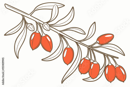 Goji Berry, Elongated berry hanging from a delicate branch vector silhouette on a white background