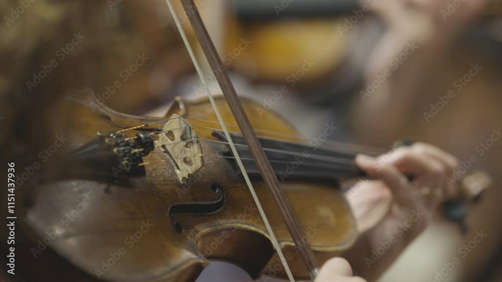 A violin or viola player playing their instrument during a classical chamber orchestra rehearsal A violin or viola player playing their instrument during a classical chamber orchestra rehearsal