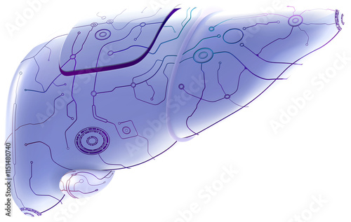 3D illustration of human liver organ in mechanical form on dark blue background presents the future human organ. It is used in medicine, education, science, advertising and industry.