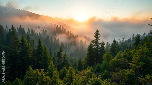 Misty Dawn Mountain Forest - Serene Landscape, Vibrant Colors, High Resolution